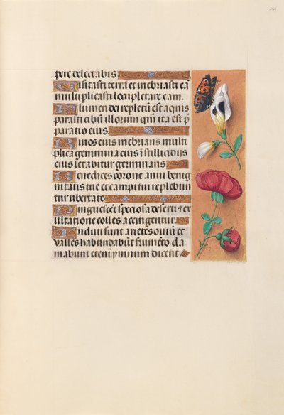Hours of Queen Isabella the Catholic, Queen of Spain: Fol. 249r, c. 1500. av Master of the First Prayerbook of Maximillian