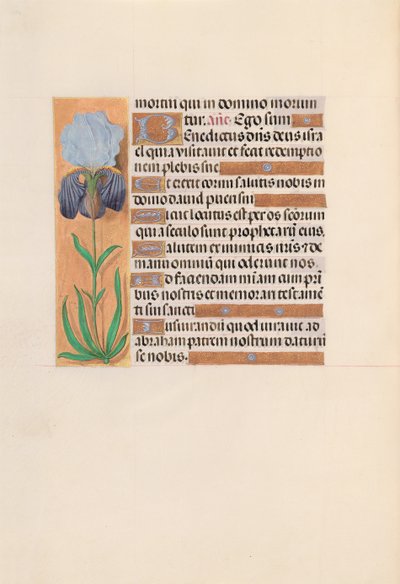 Hours of Queen Isabella the Catholic, Queen of Spain: Fol. 254v, c. 1500. av Master of the First Prayerbook of Maximillian