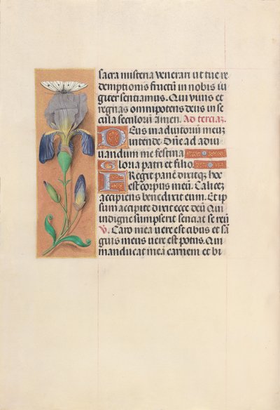 Hours of Queen Isabella the Catholic, Queen of Spain: Fol. 45v, c. 1500. av Master of the First Prayerbook of Maximillian