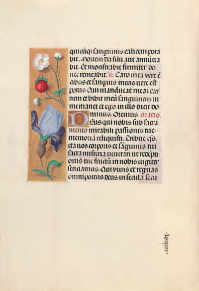 Hours of Queen Isabella the Catholic, Queen of Spain: Fol. 46v, c. 1500. av Master of the First Prayerbook of Maximillian
