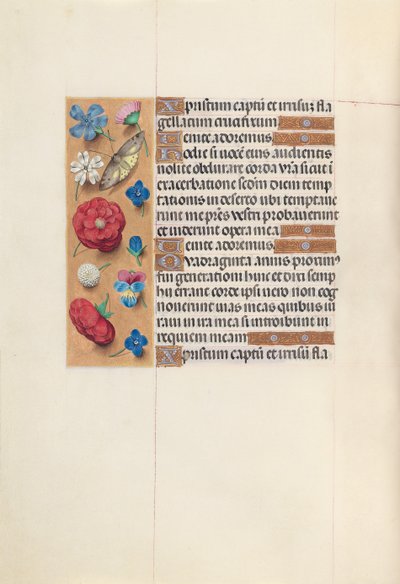 Hours of Queen Isabella the Catholic, Queen of Spain: Fol. 51v, c. 1500. av Master of the First Prayerbook of Maximillian