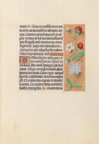 Hours of Queen Isabella the Catholic, Queen of Spain: Fol. 55r, c. 1500. av Master of the First Prayerbook of Maximillian