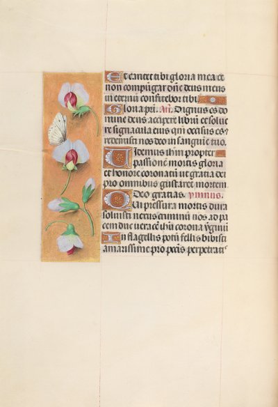 Hours of Queen Isabella the Catholic, Queen of Spain: Fol. 74v, c. 1500. av Master of the First Prayerbook of Maximillian