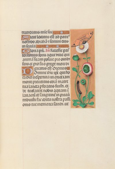 Hours of Queen Isabella the Catholic, Queen of Spain: Fol. 76r, c. 1500. av Master of the First Prayerbook of Maximillian
