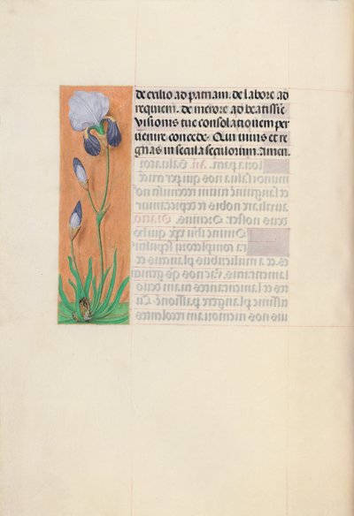 Hours of Queen Isabella the Catholic, Queen of Spain: Fol. 79v, c. 1500. av Master of the First Prayerbook of Maximillian
