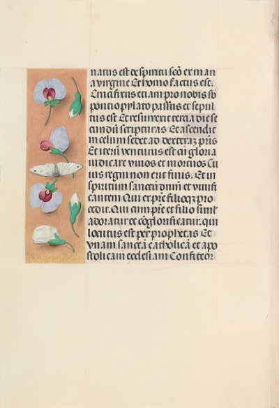 Hours of Queen Isabella the Catholic, Queen of Spain: Fol. 91v, c. 1500. av Master of the First Prayerbook of Maximillian