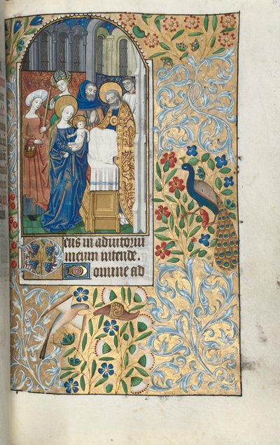 Tidsbok Användning av Rouen: fol. 67r, Presentation av Kristusbarnet i templet, ca. 1470. av Master of the Geneva Latini