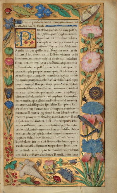 Dekorerad textsida av Master of the Getty Epistles