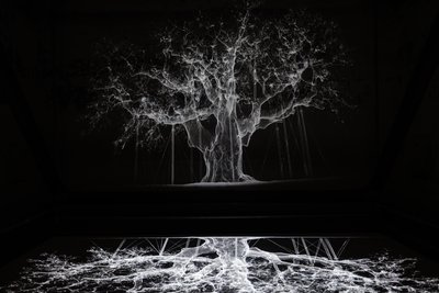 Albion, 2017 (Projektor, mediaspelare, byggnadsställning, transparent film, trä, färg, spegel, stretchingtillbehör) av Mat Collishaw