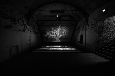 Albion, 2017 (Projektor, mediaspelare, byggnadsställning, transparent film, trä, färg, spegel, stretchingtillbehör) av Mat Collishaw