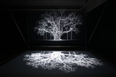 Albion, på utställningen "Petrichor" av Mat Collishaw i Kew Gardens, London, 2023 (foto) av Mat Collishaw