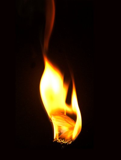 Burning Butterfly 16, 2013 (Lambda print) av Mat Collishaw