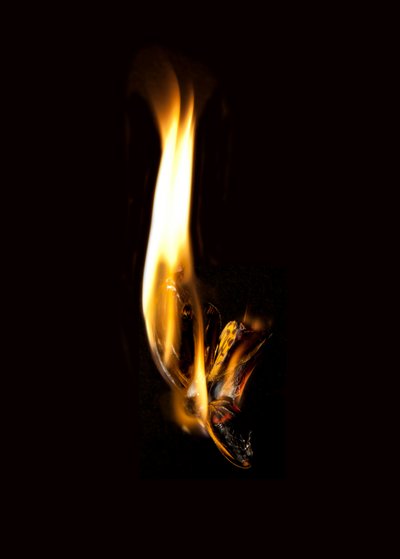Burning Butterfly 2, 2013 (Lambda-tryck) av Mat Collishaw