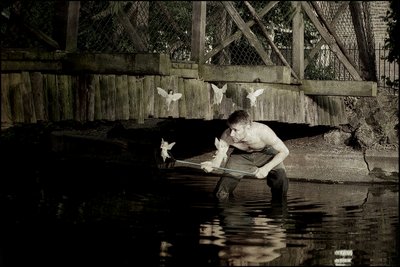 Att fånga älvor 4 av Mat Collishaw