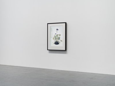Columbine, 2018 (Träram, kant, LCD-skärm, fläkt och mediaspelare) av Mat Collishaw