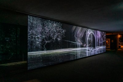 Echolocation, 2021 (3-kanals videoprojektion på polypropylenväv) av Mat Collishaw