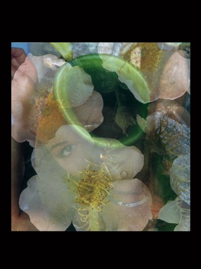 Flesheaters 2 av Mat Collishaw