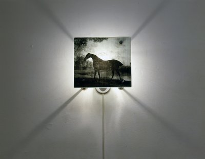Stubbs Hästar av Mat Collishaw