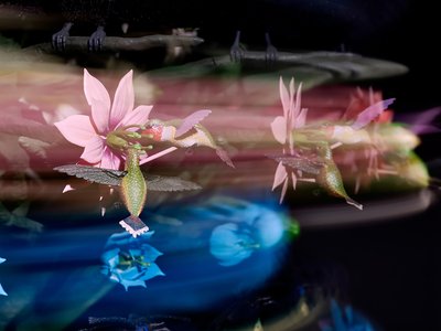 The Centrifugal Soul, 2016 (Akryl, aluminium, stål, LED-lampor, motor, elektroniska kretsar, harts och färg) av Mat Collishaw