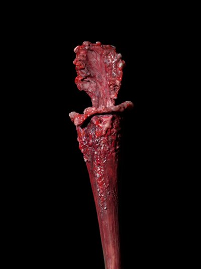 The Venal Muse, Fenside, 2012 (harts, emaljfärg, trä, glas, stål) av Mat Collishaw