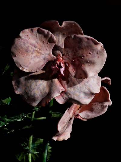 Venal Muse, Impetus, 2012 (harts, emaljfärg, trä, glas, stål) av Mat Collishaw