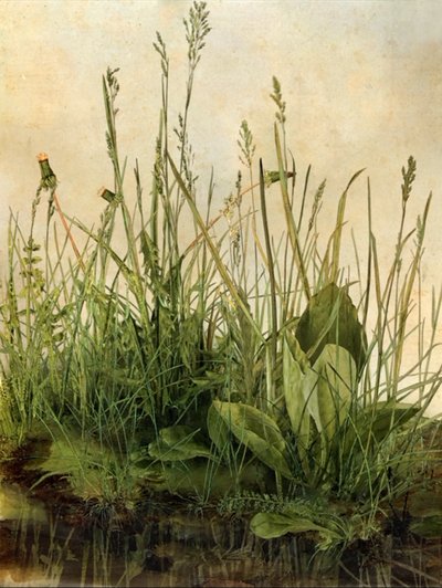 Whispering Weeds, 2011 (Träram, kant, LCD-skärm, fläkt och hårddisk) av Mat Collishaw
