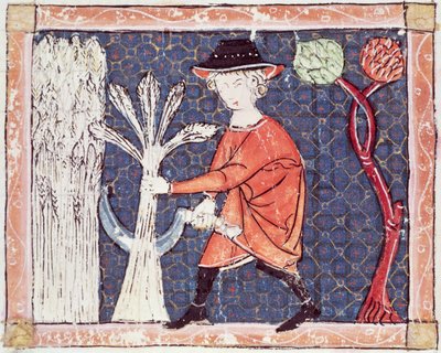 Fol.58v Juli: Skörden av Matfre Ermengaut