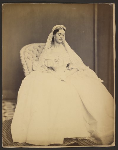  av Mathew B. Brady