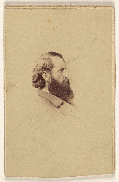 [Oidentifierad man med långt skägg i profil] av Mathew B. Brady