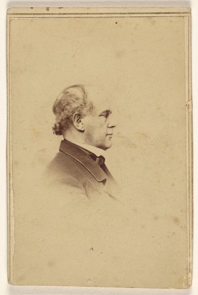 [Oidentifierad man i profil, tryckt i vinjettstil] av Mathew B. Brady