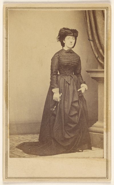  av Mathew B. Brady