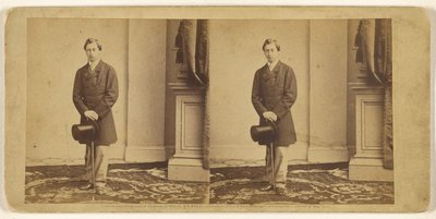 [Oidentifierad ung man stående med hög hatt och käpp] av Mathew B. Brady