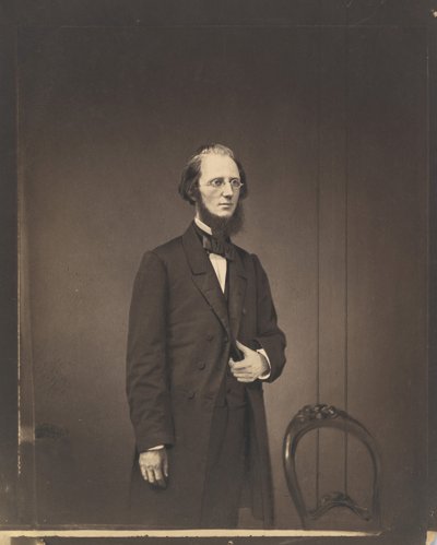 [Porträtt av en man], ca. 1857. av Mathew Brady