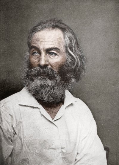 Walt Whitman, amerikansk poet, ca 1880-talet. av Mathew B. Brady