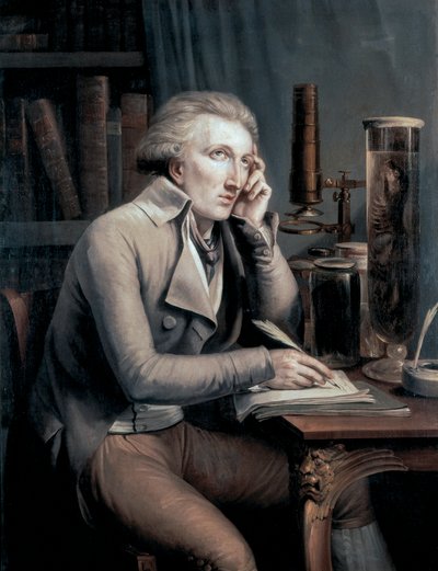 Porträtt av Georges Leopold Cuvier av Mathieu Ignace van Bree