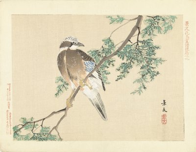 Jay på en gren av Matsumura Keibun