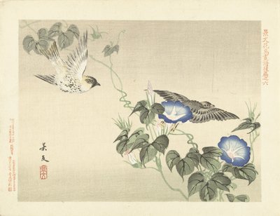 Två fåglar som flyger förbi blå bindweed Blom- och fågelskisser från Keibun - del tre (serietitel) Keibun kacho gafu kohen (serietitel på objekt) av Matsumura Keibun