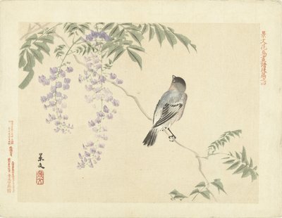 Fågel på blåregn gren Flower and Bird Sketches of Keibun - del tre (serietitel) Keibun kacho gafu kohen (serietitel på objekt) av Matsumura Keibun