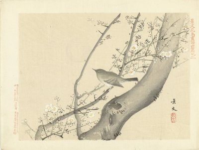Fågel i träd med vit blomma Blom- och fågelskisser från Keibun- del ett (serietitel) Keibun kacho gafu zen penna (serietitel på objekt) av Matsumura Keibun