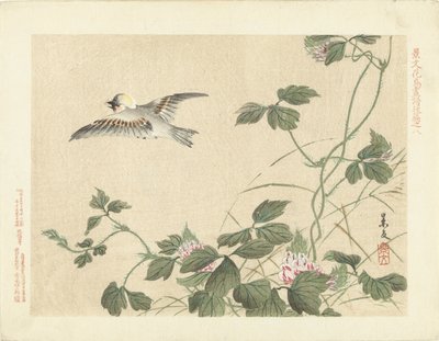 Fågel som flyger iväg på ranka med rosa blommor Flower and Bird Sketches of Keibun - del tre (serietitel) Keibun kacho gafu kohen (serietitel på objekt) av Matsumura Keibun