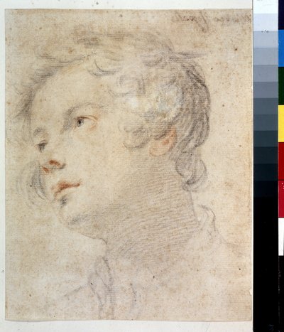 Huvudet av en pojke. Målning av Matteo Rosselli (1578-1650). Krita och röd krita på papper av Matteo Rosselli