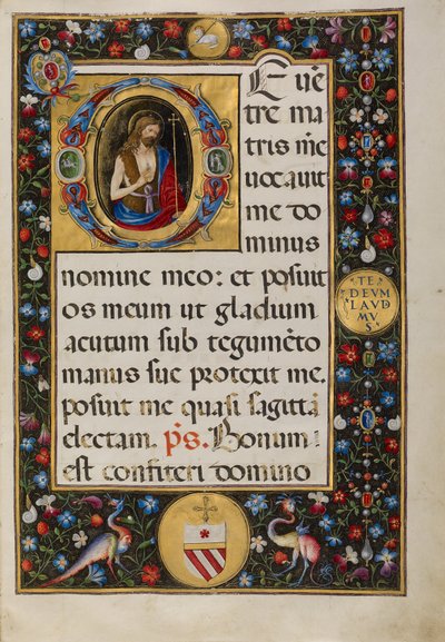 Initial D: Sankt Johannes Döparen av Matteo da Milano