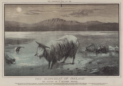 Irlands scape-goat; eller, The Shadow of a Hundred Wrongs (färg litho) av Matthew