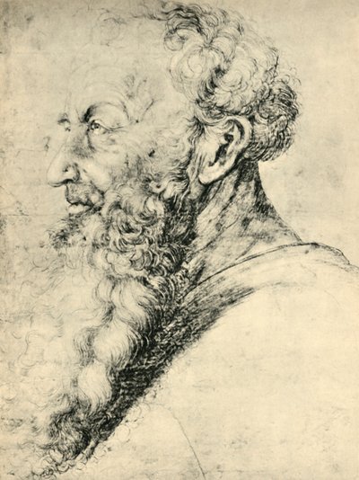 Porträtt av Guido Guersi, 1513-1515, 1943. av Matthias Gruenewald