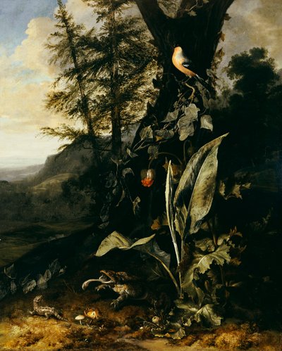 Ett skogsgolv med en padda och en ödla, en domherre på en murgrönagren ovanför och ett berg bortom av Matthias Withoos
