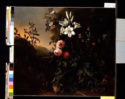 Stilleben, ca 1670 (olja på duk) av Matthias Withoos