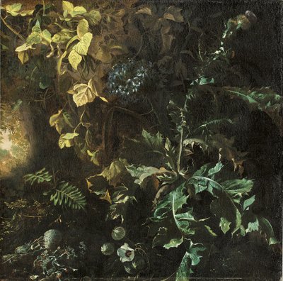 Tistels och andra växter på en skogsbotten, ett landskap bortom, fragment av Matthias Withoos