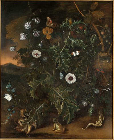 Tistels, torn, vallmo och andra växter av Matthias Withoos