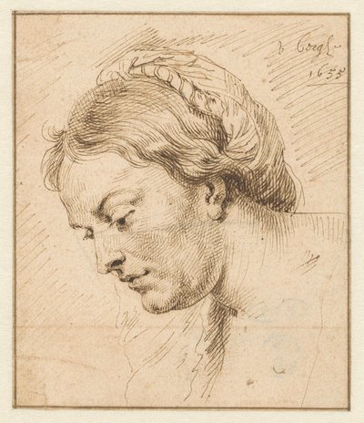swedish av Matthys van den Bergh