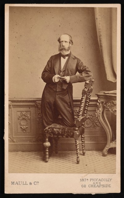 Porträtt av Andrew Dickson Murray 1812-1878, före 1878. av Maull and Co